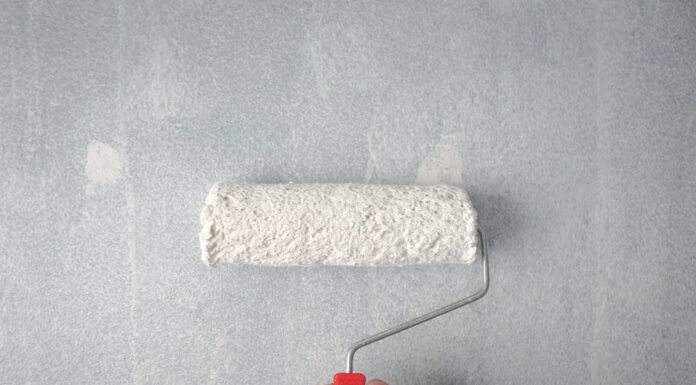 Farve guide: Hvilken farve skal du male i?