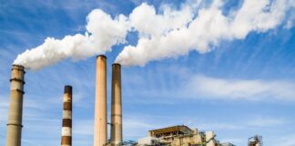 Hvad et transportbånd kan tilbyde dig?