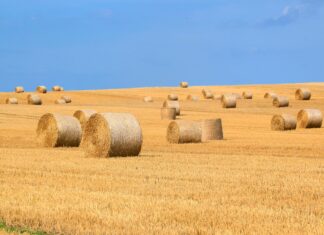 Der findes mange muligheder for at optimere sit landsbrugsudstyr