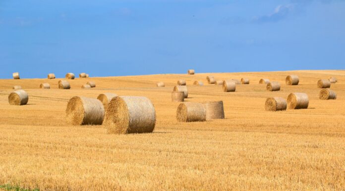 Der findes mange muligheder for at optimere sit landsbrugsudstyr
